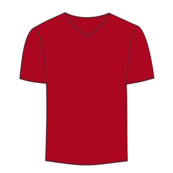LA T Adult Fine Jersey V-Neck T-Shirt Thumbnail