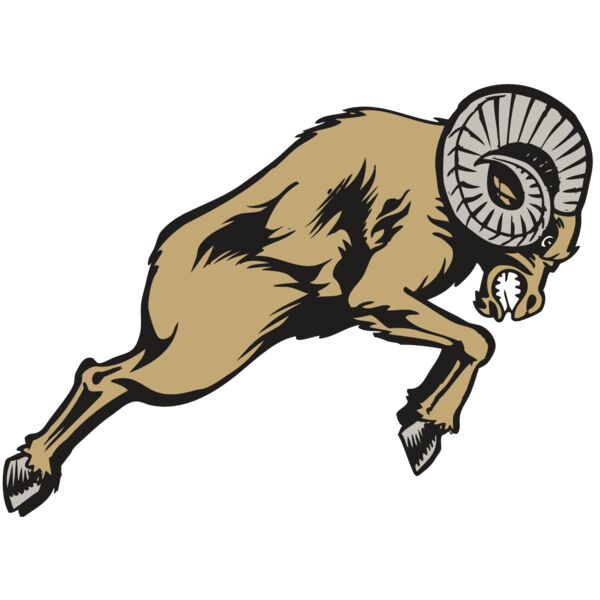 BAW RAM 04 RC Thumbnail