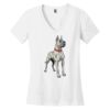 Women's Perfect Weight ® V Neck Tee Thumbnail